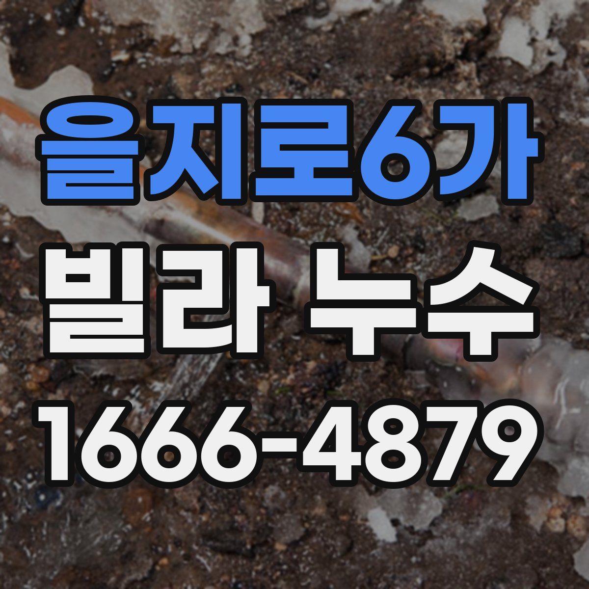 을지로6가 빌라 누수