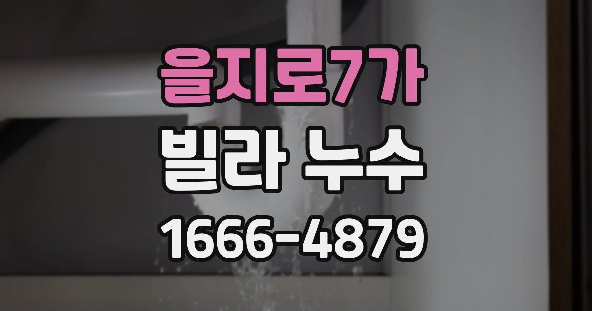 을지로7가 빌라 누수