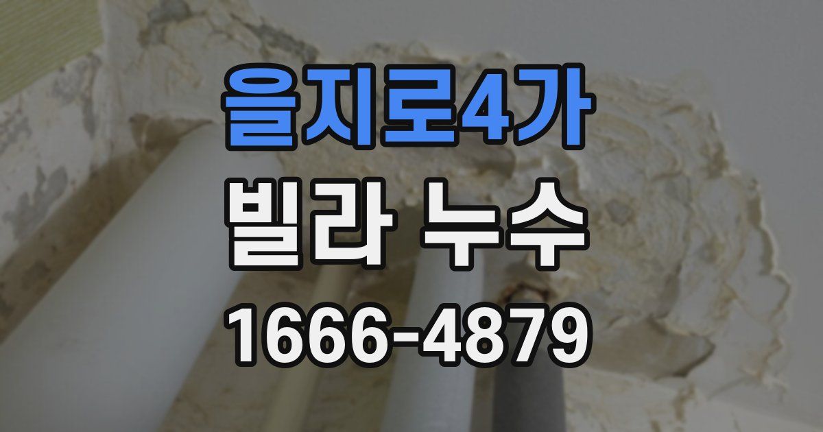 을지로4가 빌라 누수
