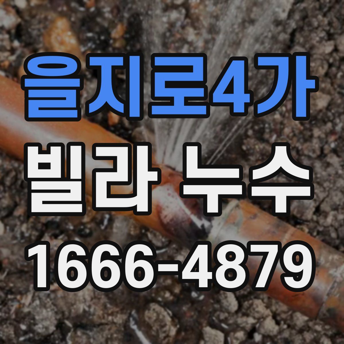 을지로4가 빌라 누수
