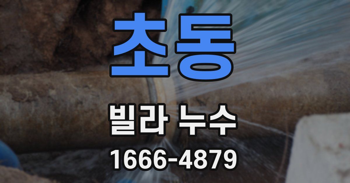 초동 빌라 누수