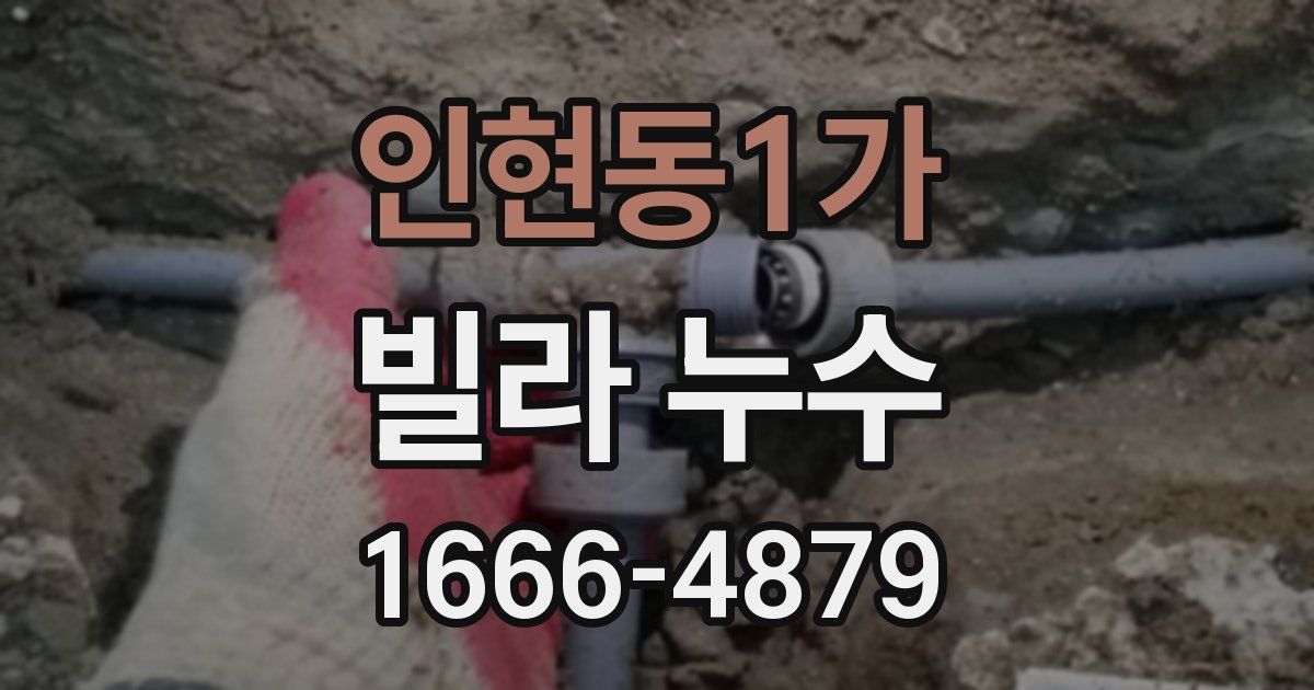 인현동1가 빌라 누수