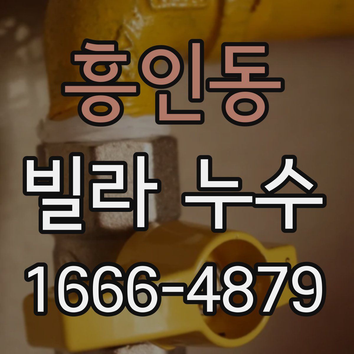 흥인동 빌라 누수
