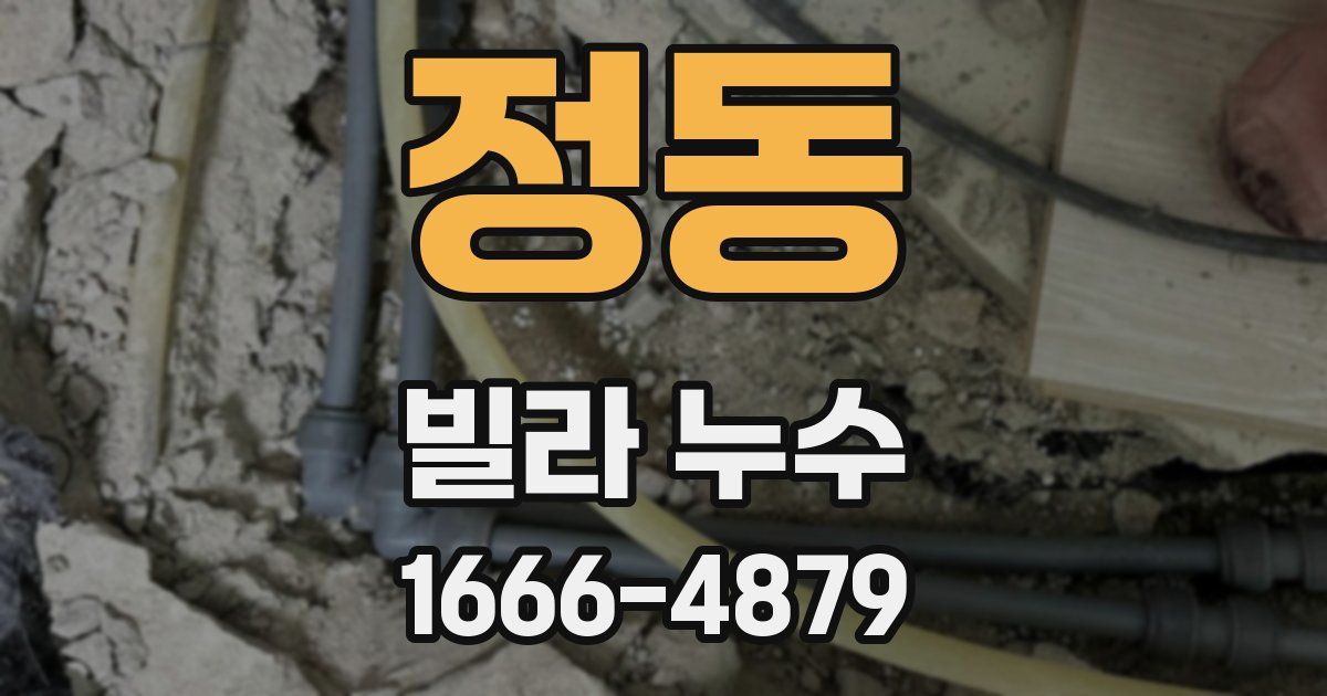 정동 빌라 누수