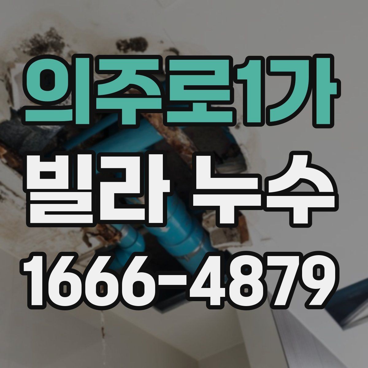 의주로1가 빌라 누수 자주 발생하는 위치와 확인법