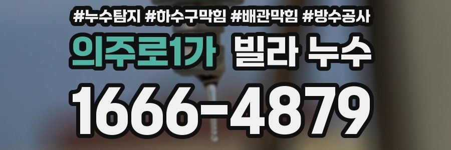의주로1가 빌라 누수