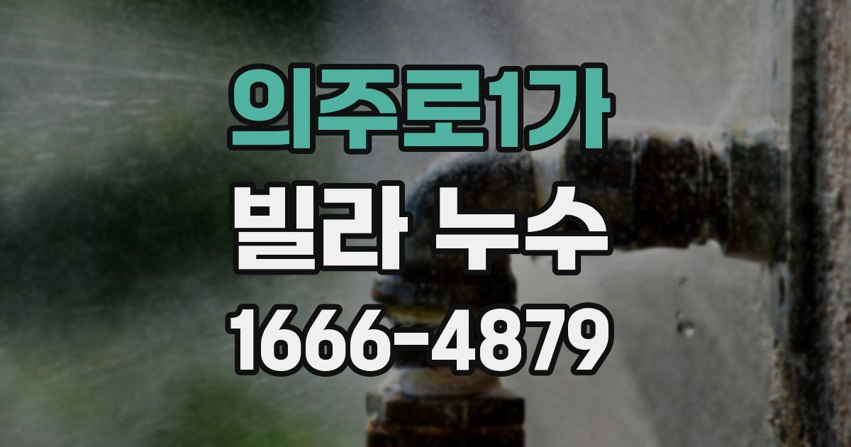 의주로1가 빌라 누수