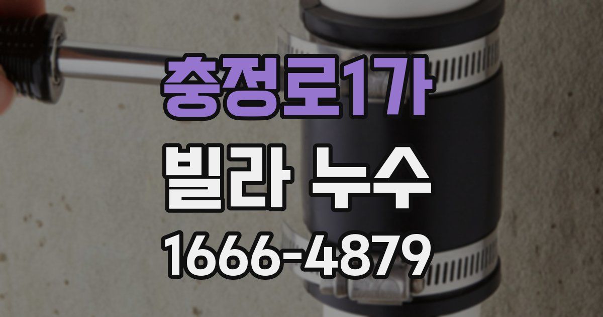 충정로1가 빌라 누수