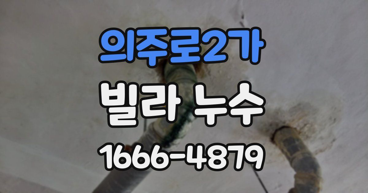 의주로2가 빌라 누수