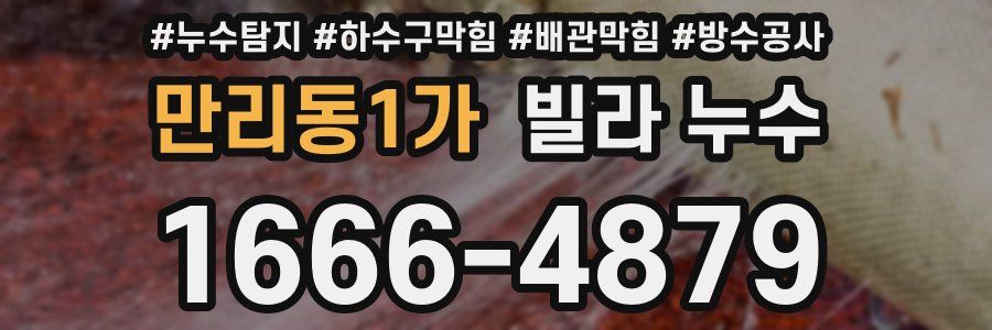 만리동1가 빌라 누수