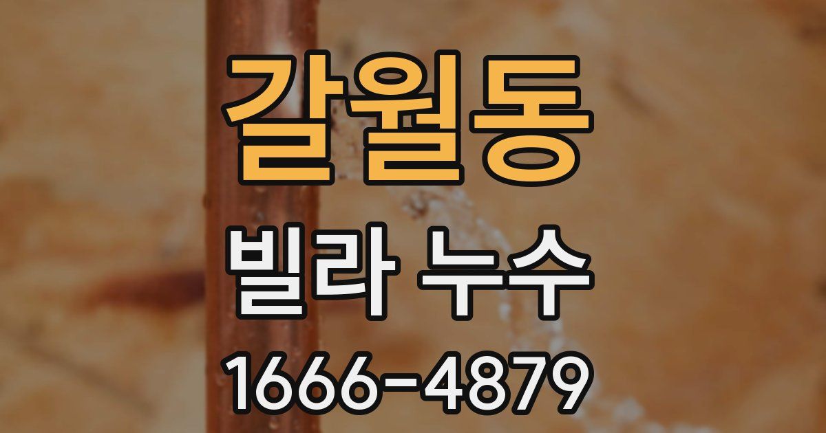 갈월동 빌라 누수