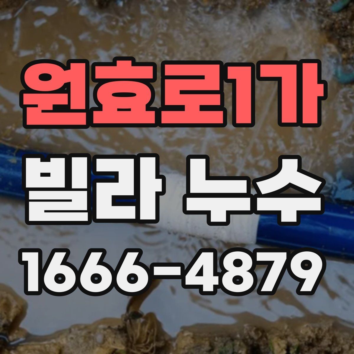 원효로1가 빌라 누수 세대 내부와 외부를 함께 살피기