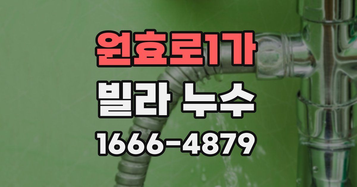 원효로1가 빌라 누수