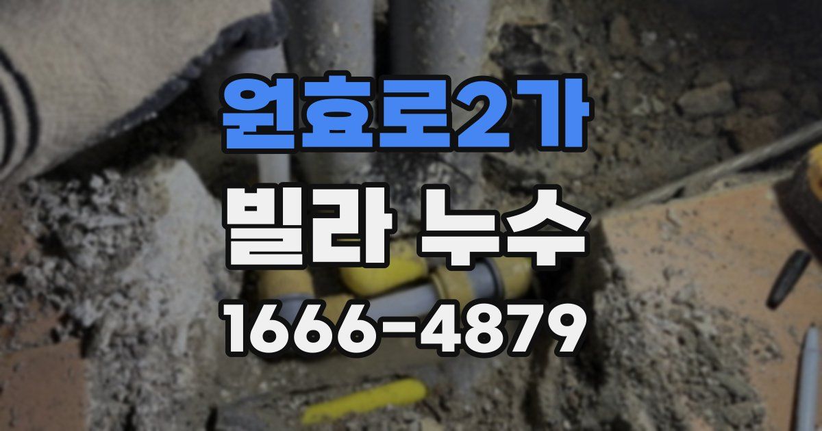 원효로2가 빌라 누수