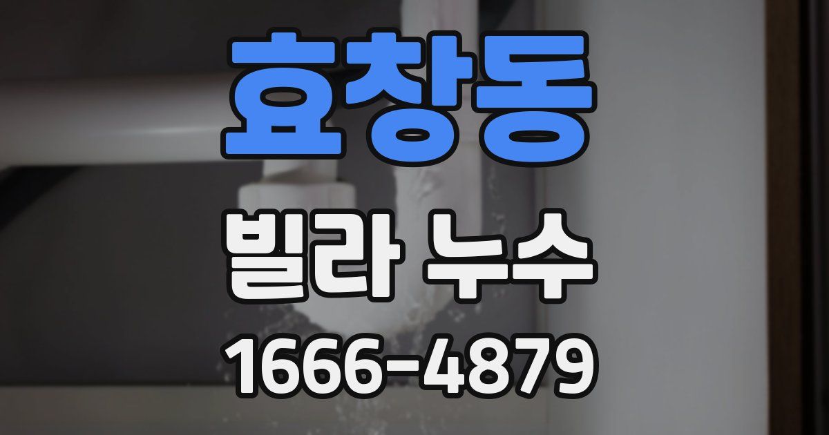 효창동 빌라 누수