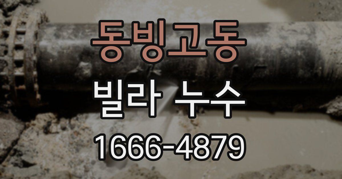 동빙고동 빌라 누수