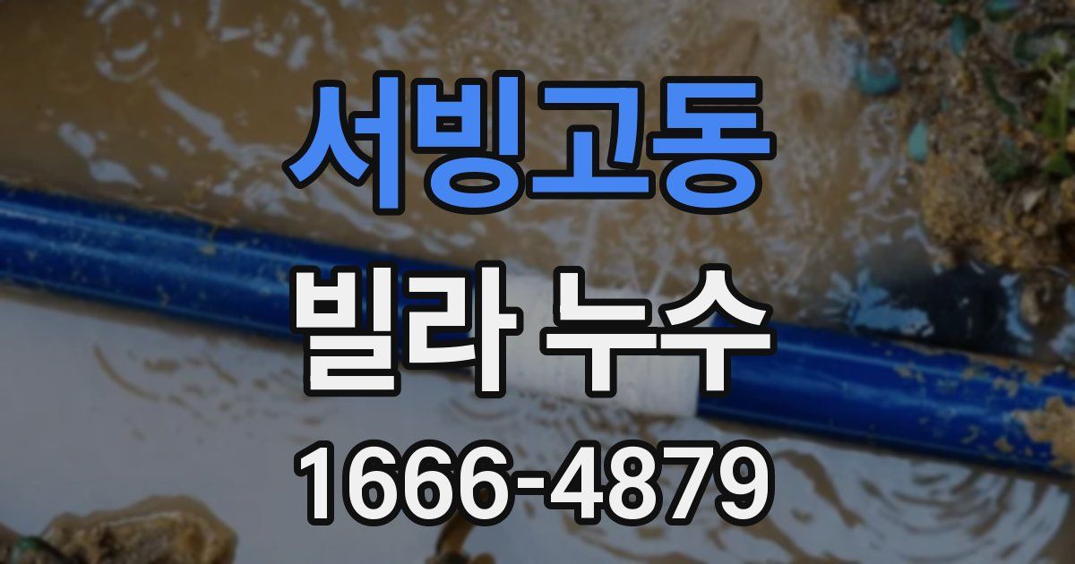 서빙고동 빌라 누수