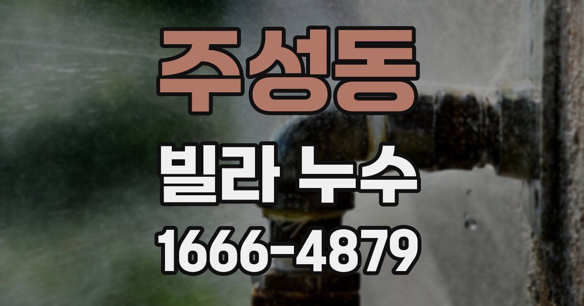 주성동 빌라 누수