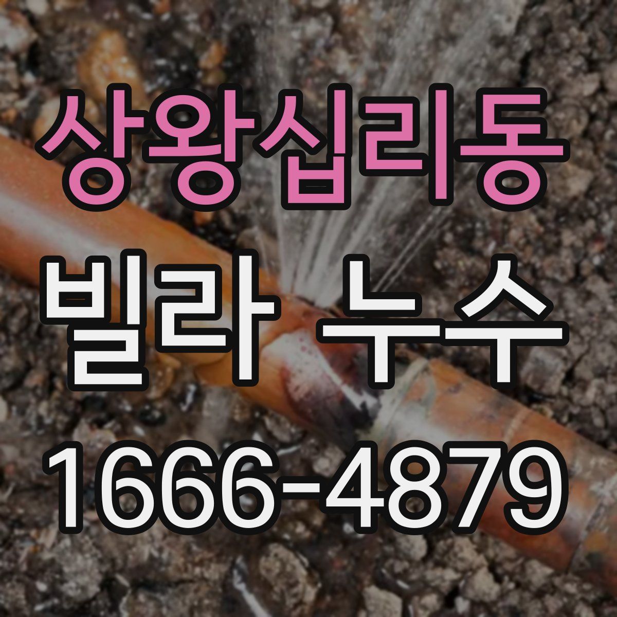 상왕십리동 빌라 누수