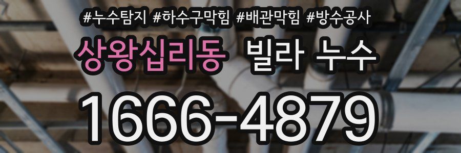 상왕십리동 빌라 누수