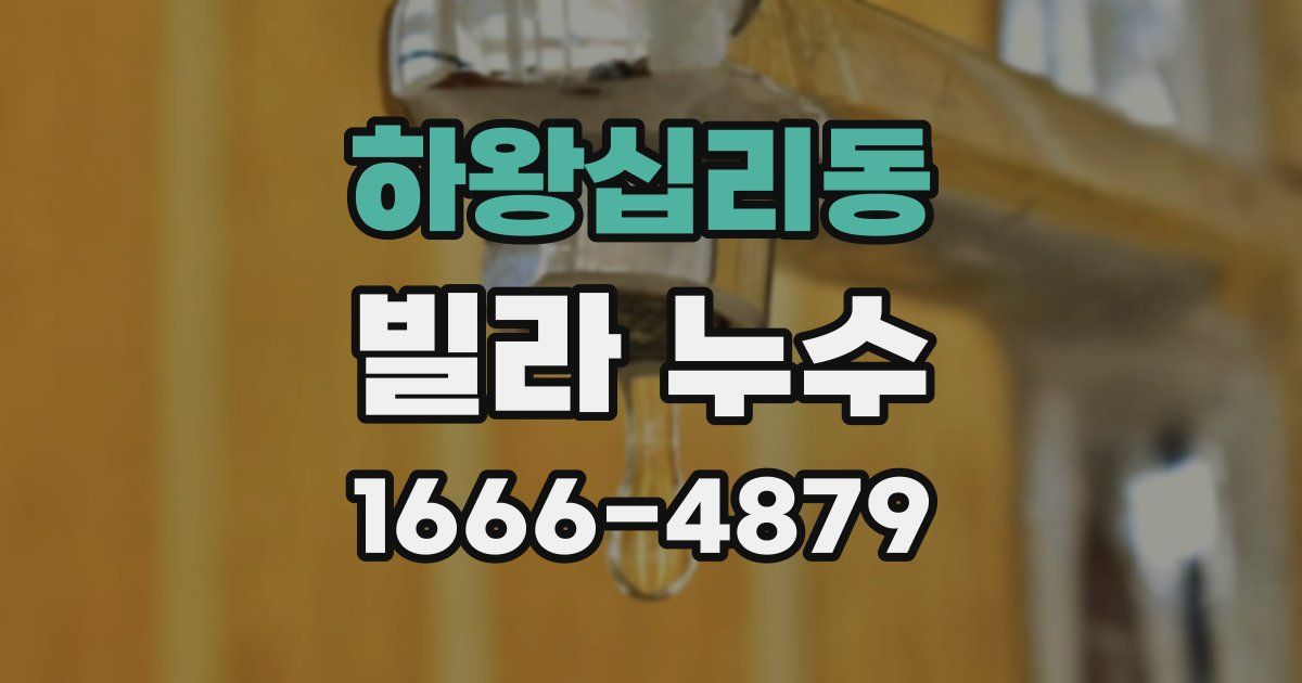 하왕십리동 빌라 누수