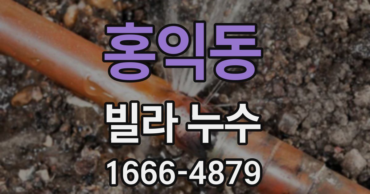 홍익동 빌라 누수