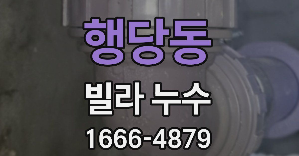 행당동 빌라 누수
