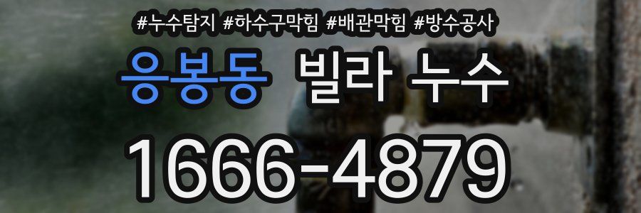 응봉동 빌라 누수