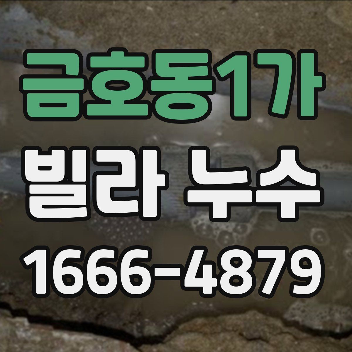 금호동1가 빌라 누수 보수 범위를 판단하는 기준