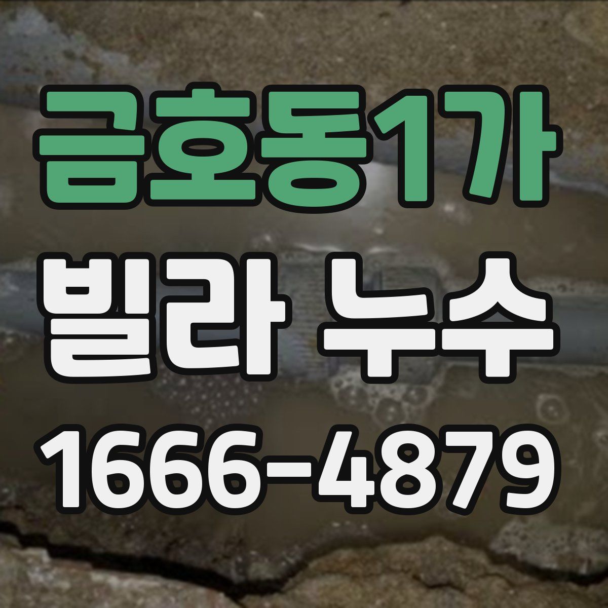 금호동1가 빌라 누수