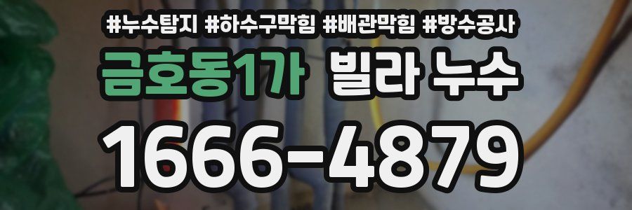 금호동1가 빌라 누수