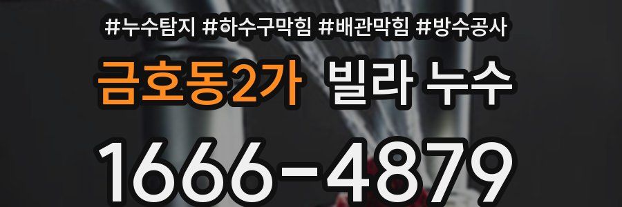 금호동2가 빌라 누수