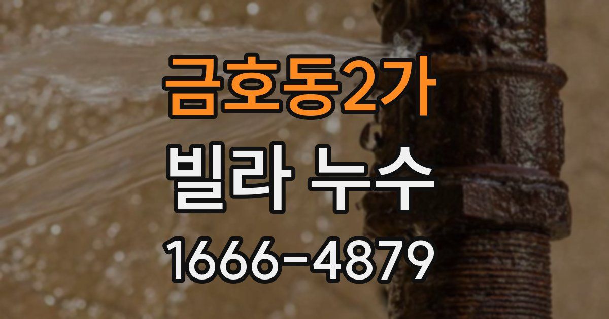 금호동2가 빌라 누수