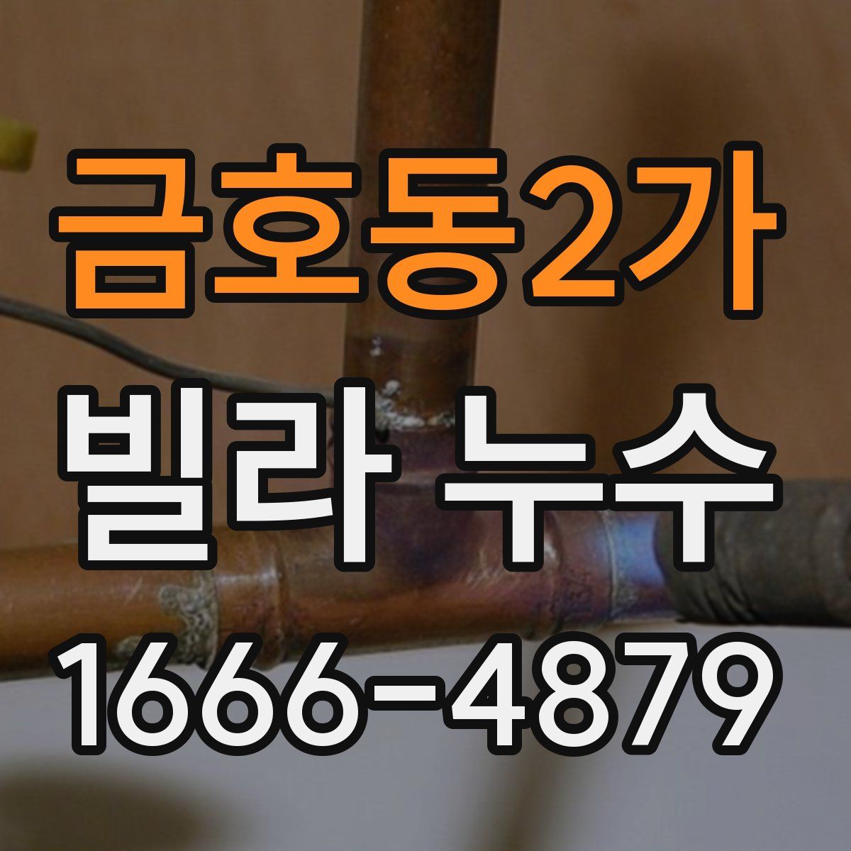 금호동2가 빌라 누수