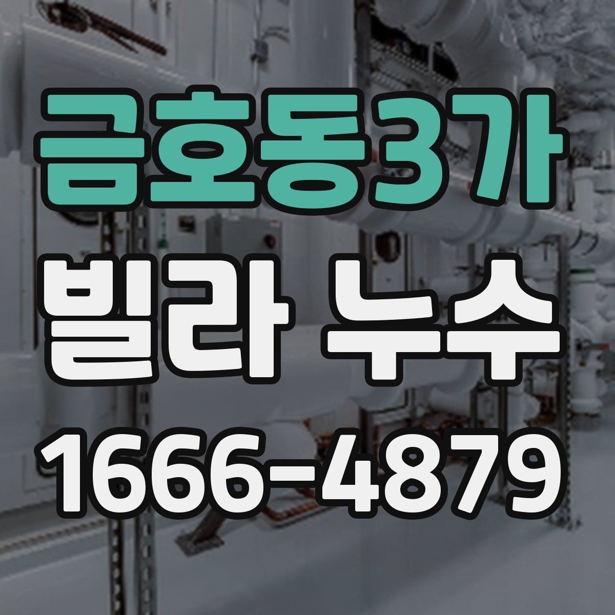 금호동3가 빌라 누수 현장 방문 전 문의할 사항