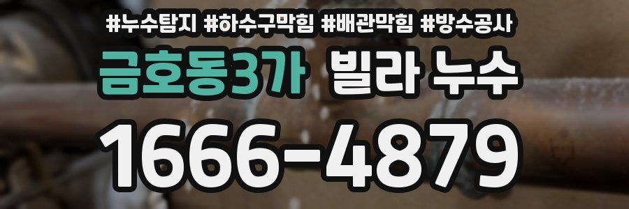 금호동3가 빌라 누수