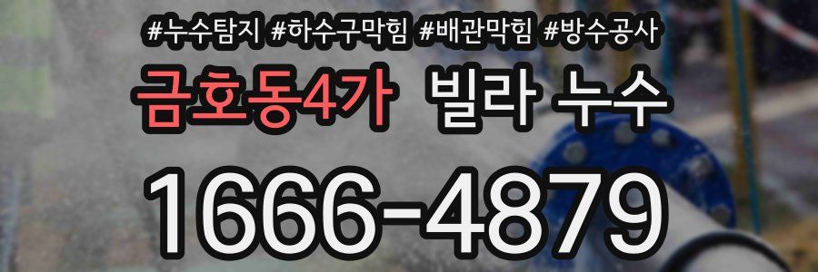 금호동4가 빌라 누수
