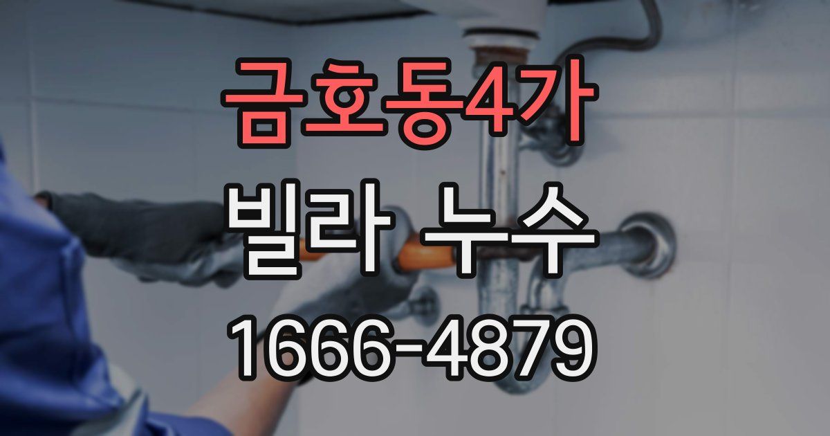 금호동4가 빌라 누수