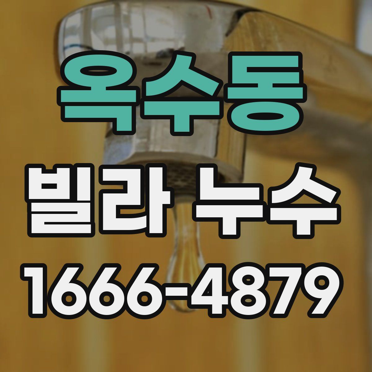 옥수동 빌라 누수