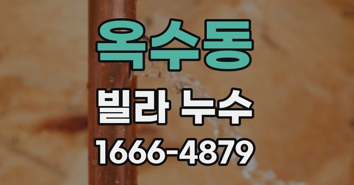 옥수동 빌라 누수