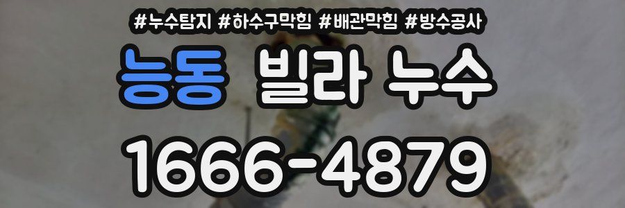 능동 빌라 누수