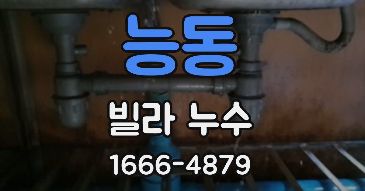 능동 빌라 누수