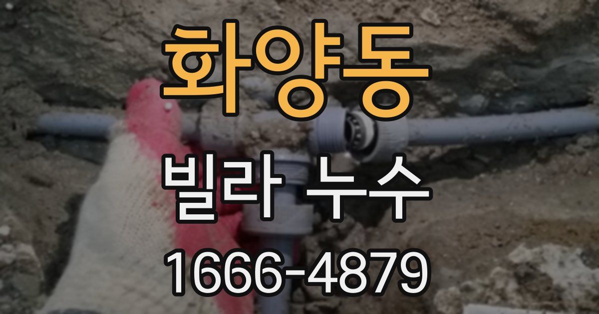 화양동 빌라 누수