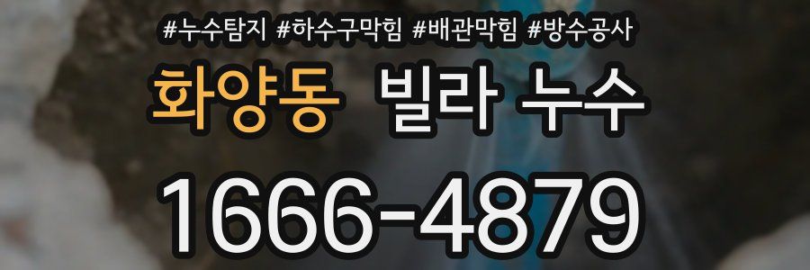 화양동 빌라 누수