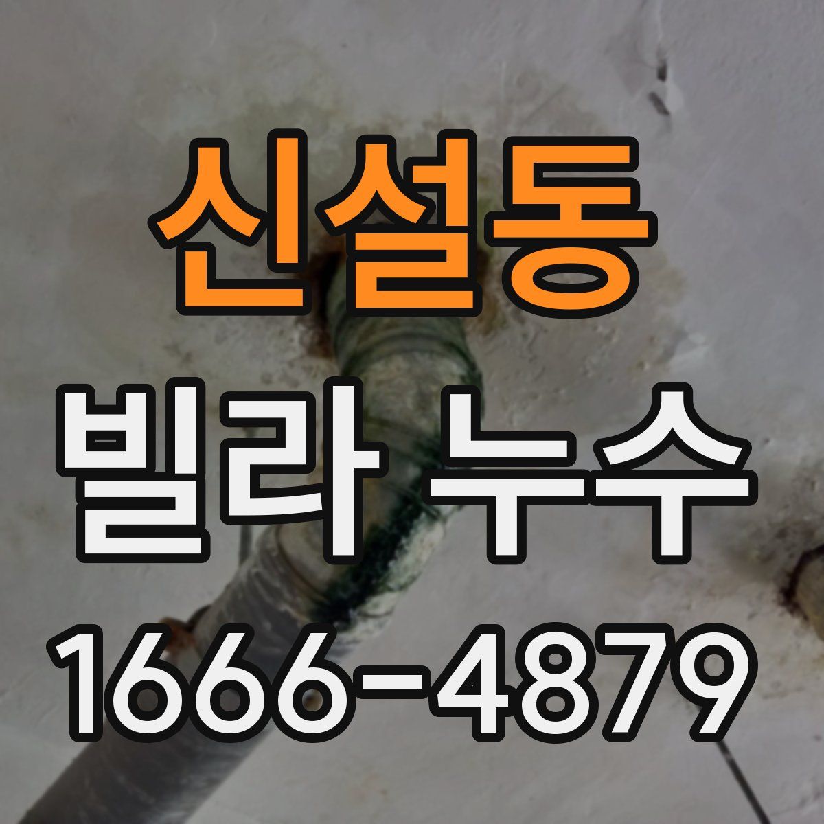신설동 빌라 누수