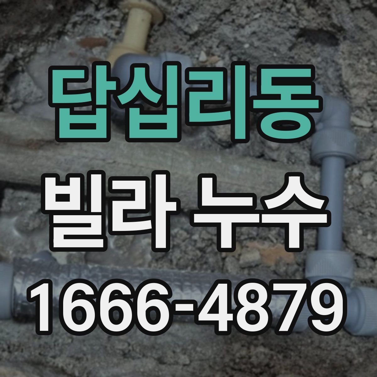 답십리동 빌라 누수