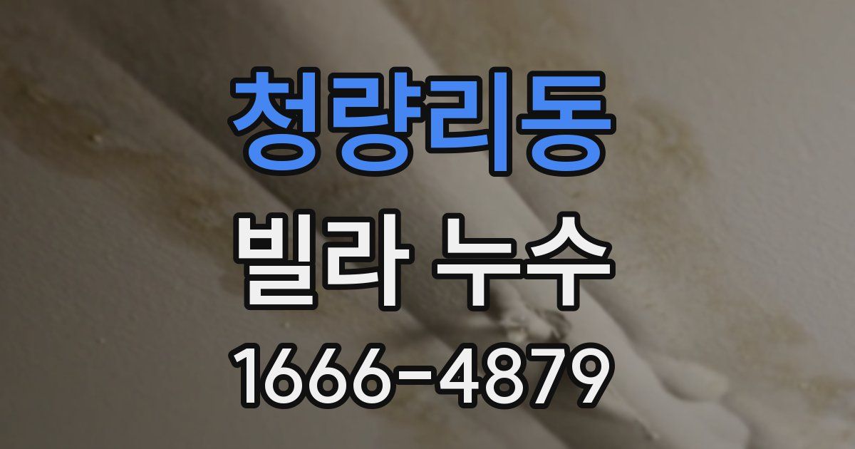 청량리동 빌라 누수