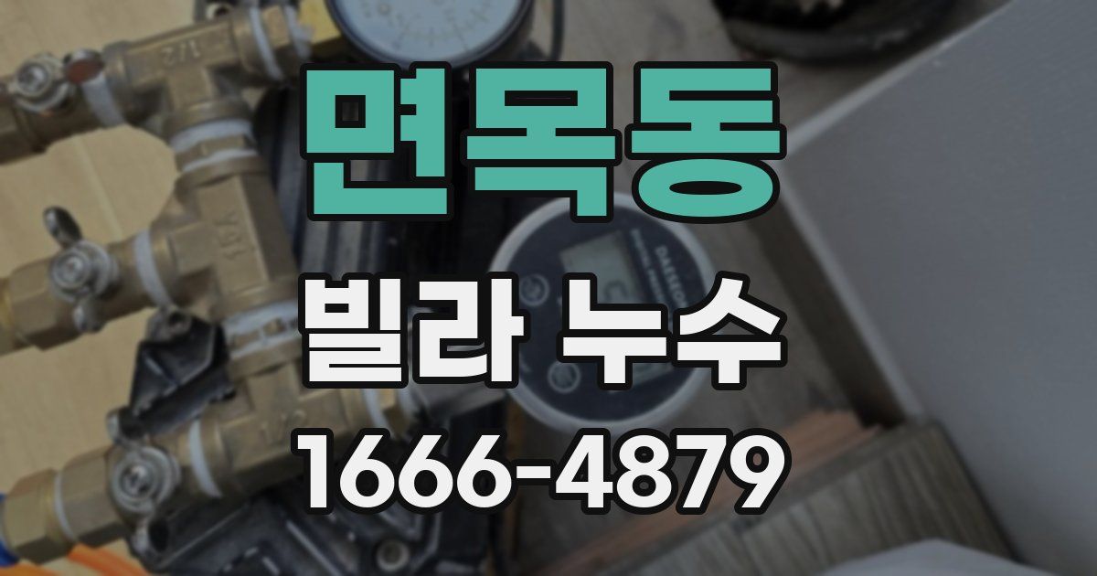 면목동 빌라 누수