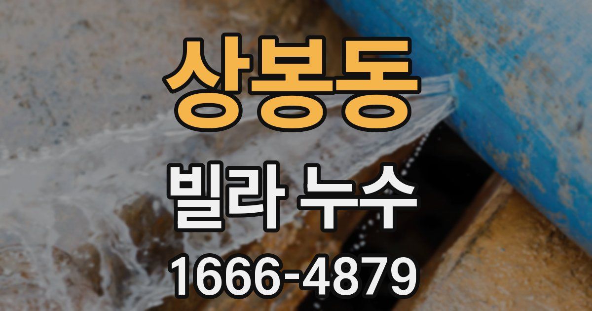 상봉동 빌라 누수