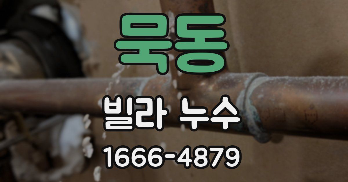 묵동 빌라 누수